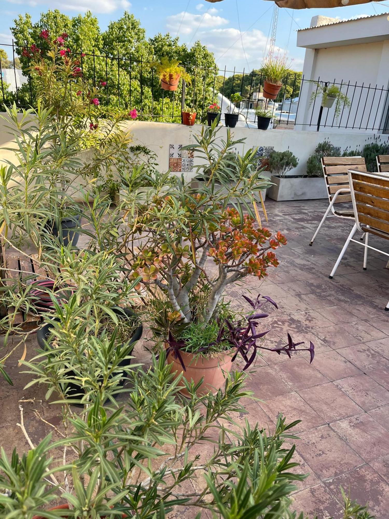 Alojate Mendoza - Departamento "Josefa" Terraza Y Parrilla 아파트 외부 사진